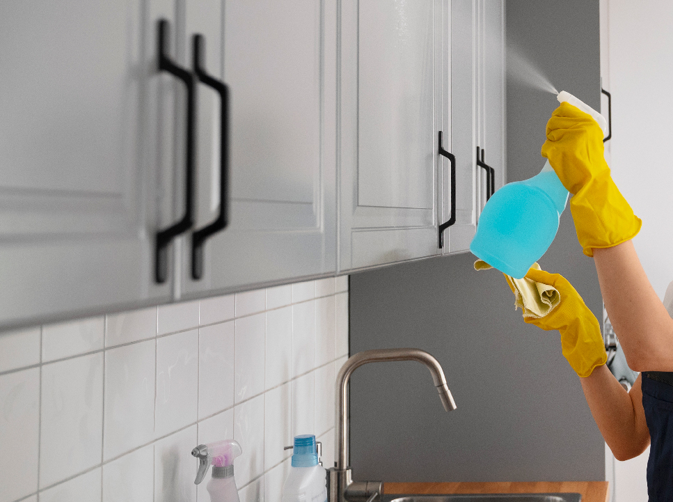 Kitchen Cleaning 